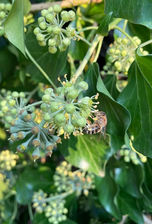 Und plötzlich ist er da... Bild 5