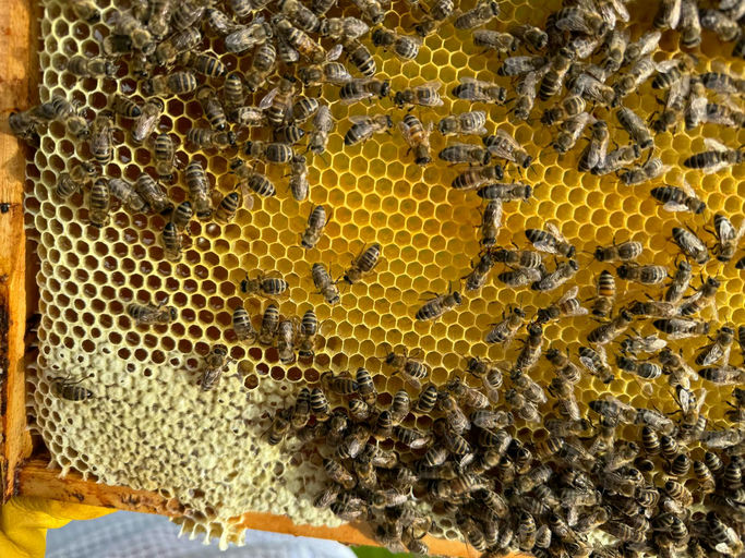 Ein durchwachsener Sommer mit einem vielleichten Happy End