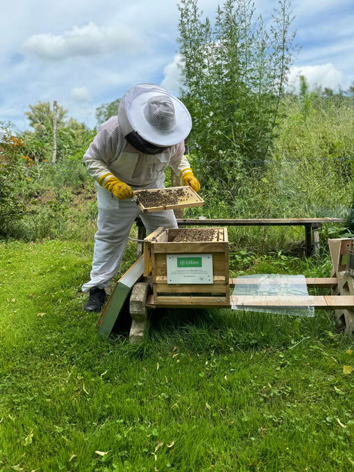 Ein durchwachsener Sommer mit einem vielleichten Happy End