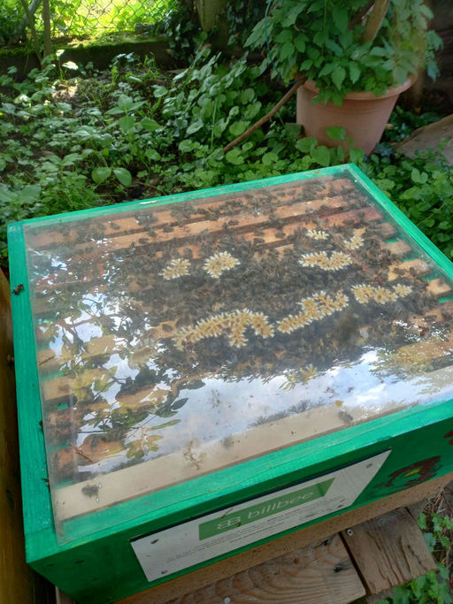 Der zweite Brutraum startet