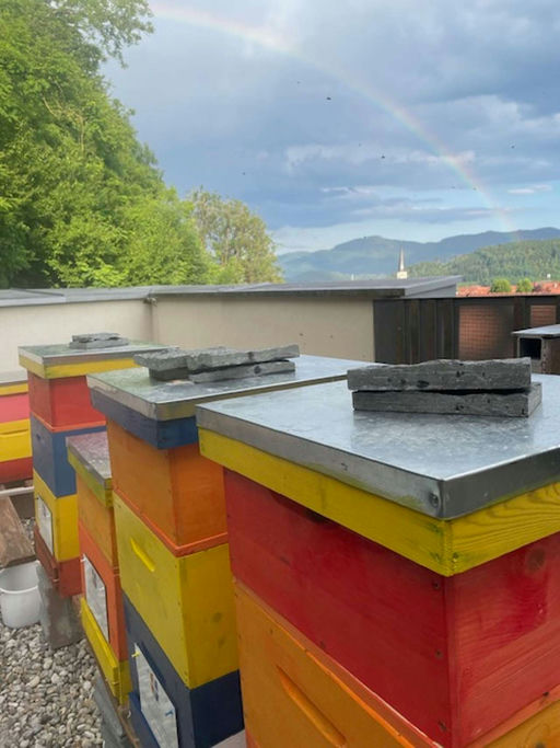 Regenbogenglück Bild 1