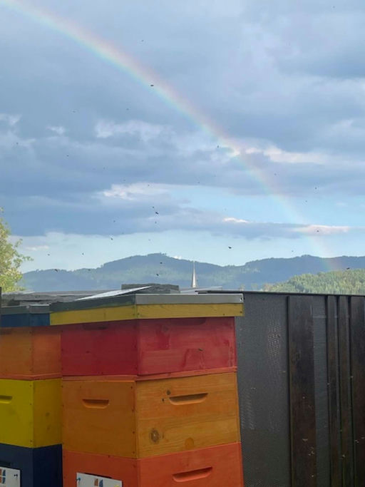 Regenbogenglück Bild 2