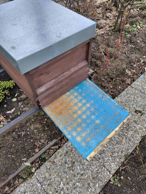 Schlaf, Bienchen schlaf Bild 3