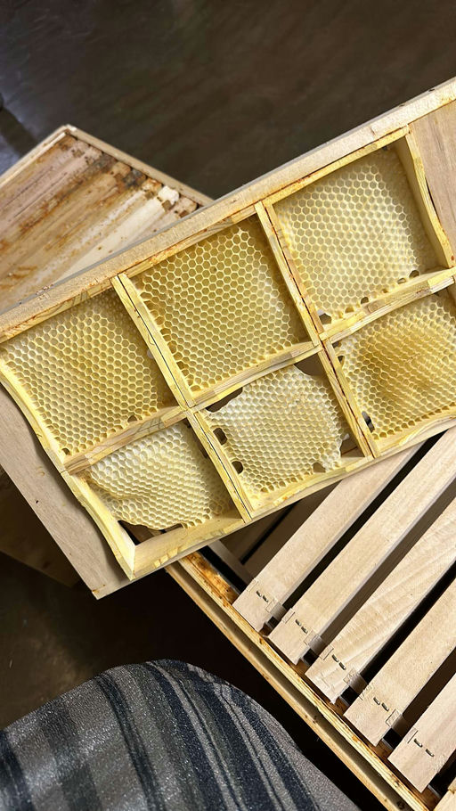 Wabenhonig 🍯 Bild 1