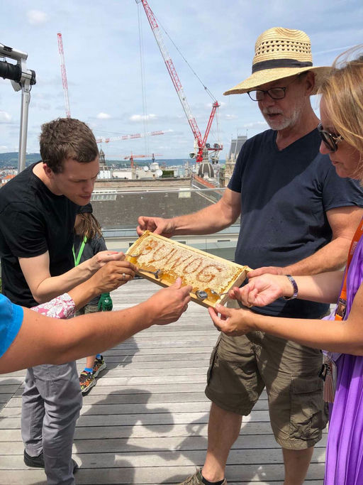 Honigernte - Mmmmm Lecker! Bild 3