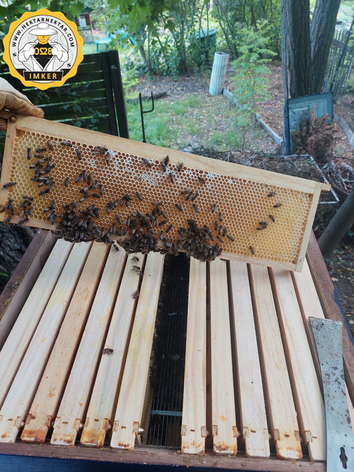 #PROJEKT2028 – Ich war dabei! Bild 1