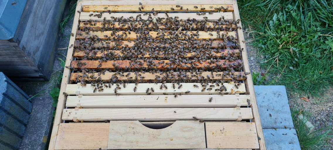 Die neuen sind da Bild 1