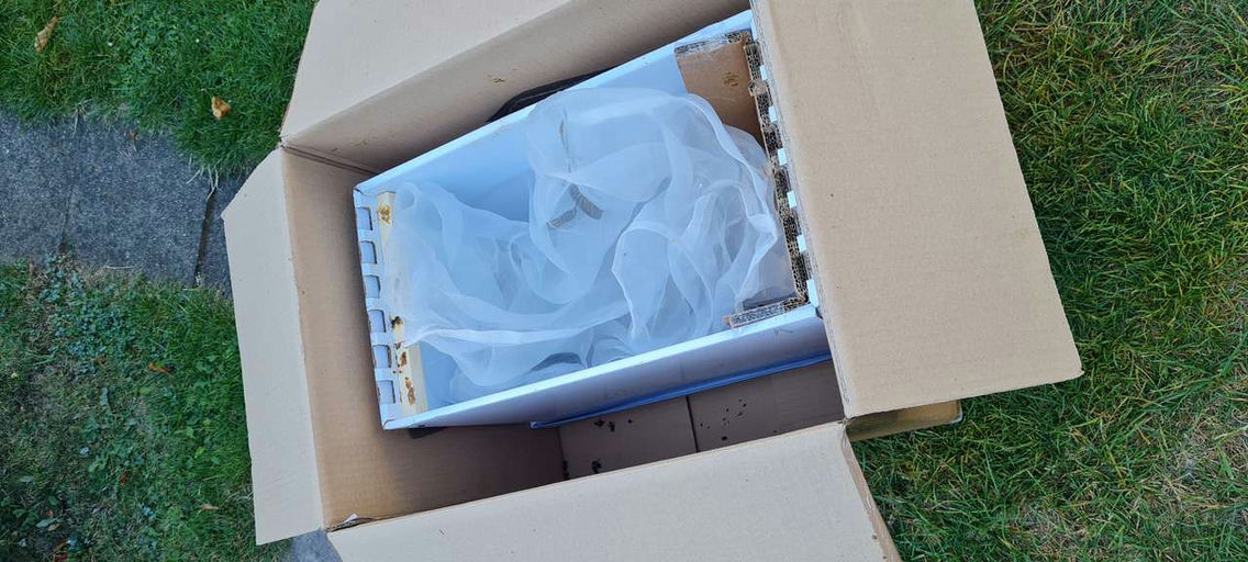 Die neuen sind da Bild 3