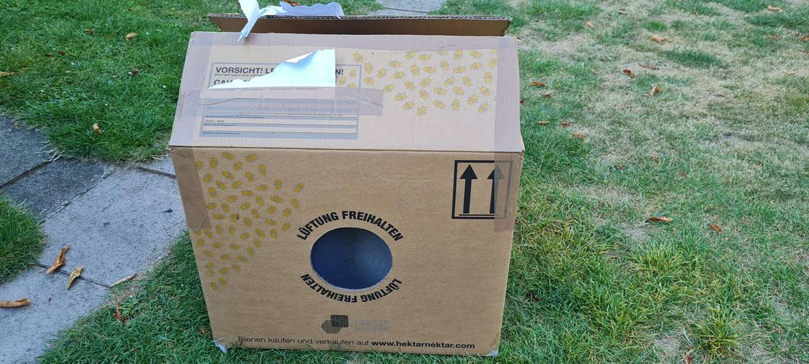 Die neuen sind da Bild 4