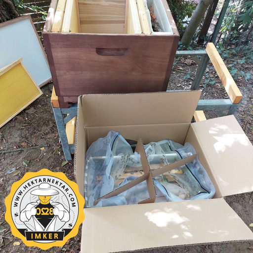 Habemus Apis! Bild 1