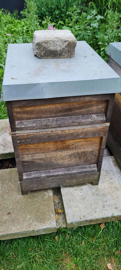 Honigräume aufsetzen