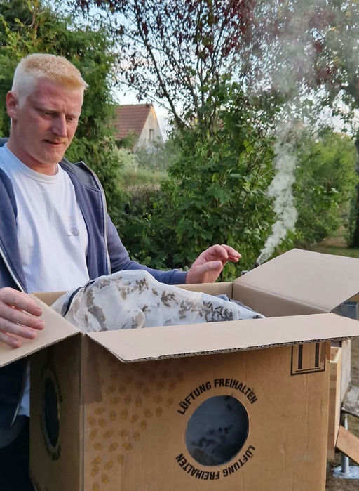 Bienen Ziehen ein Bild 1