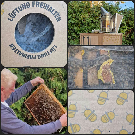 Bienen Ziehen ein Bild 2