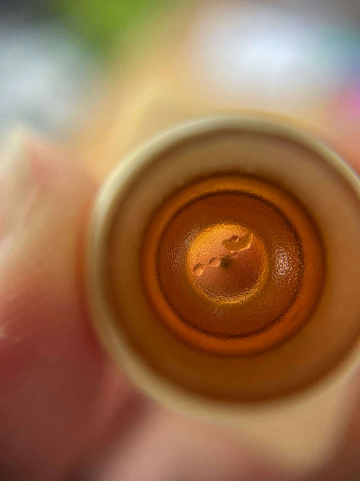 Obstblüte und Zuchtkurs Bild 4