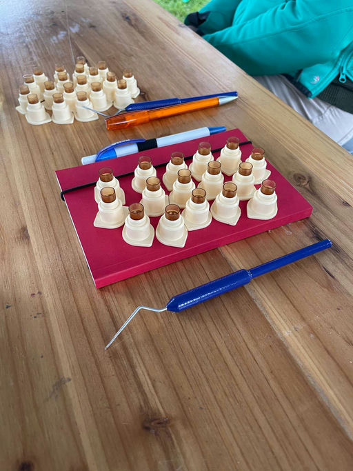 Obstblüte und Zuchtkurs Bild 5