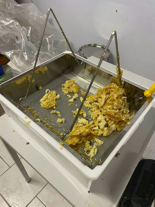 Honig Schleudern Bild 1