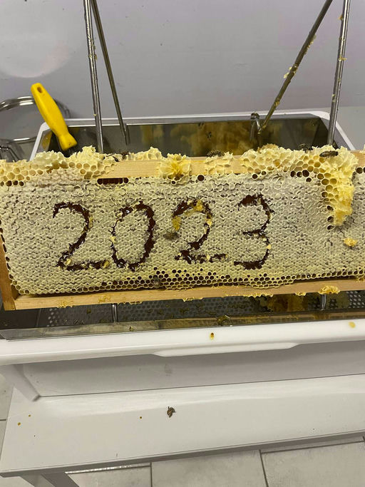 Honig Schleudern Bild 2