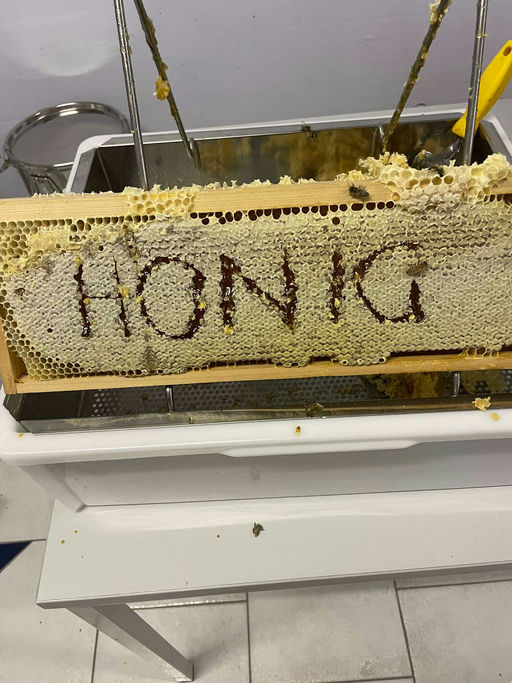 Honig Schleudern Bild 3