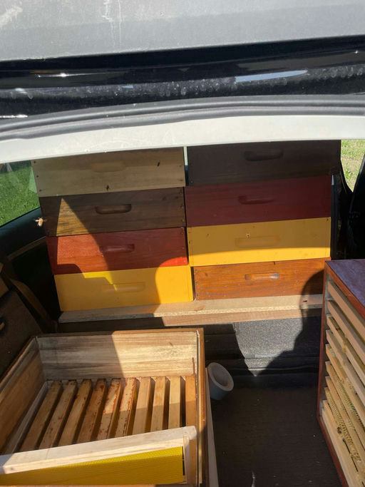 Bienenfluchten einlegen Bild 1