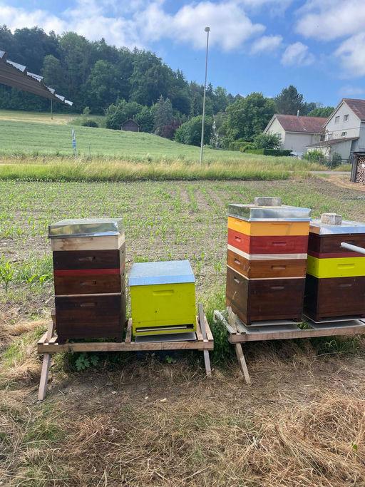 Bienenfluchten einlegen Bild 2