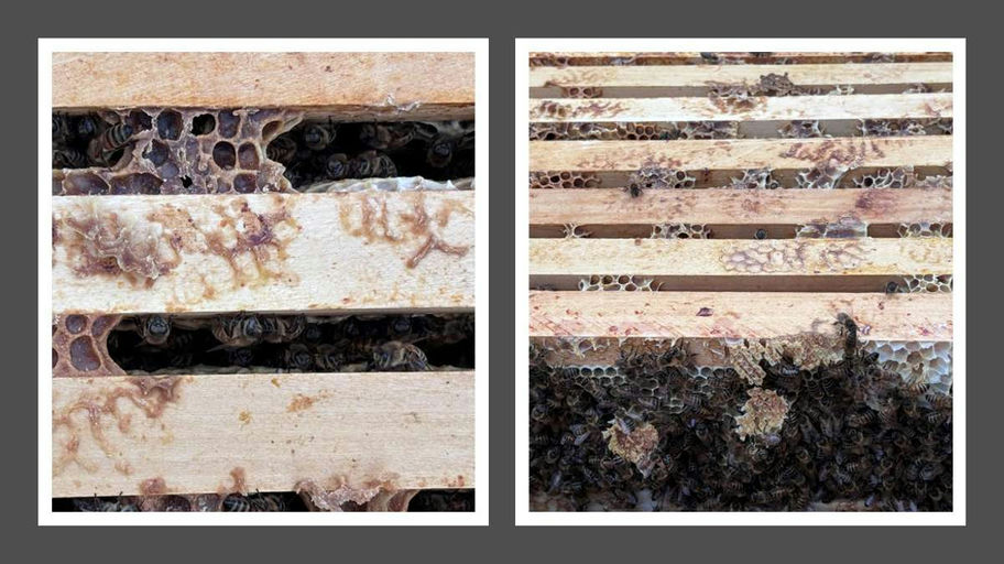 In einer engen Wintertraube Bild 1