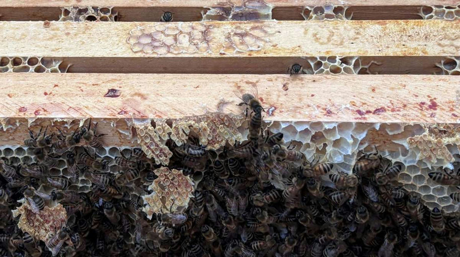 In einer engen Wintertraube Bild 2