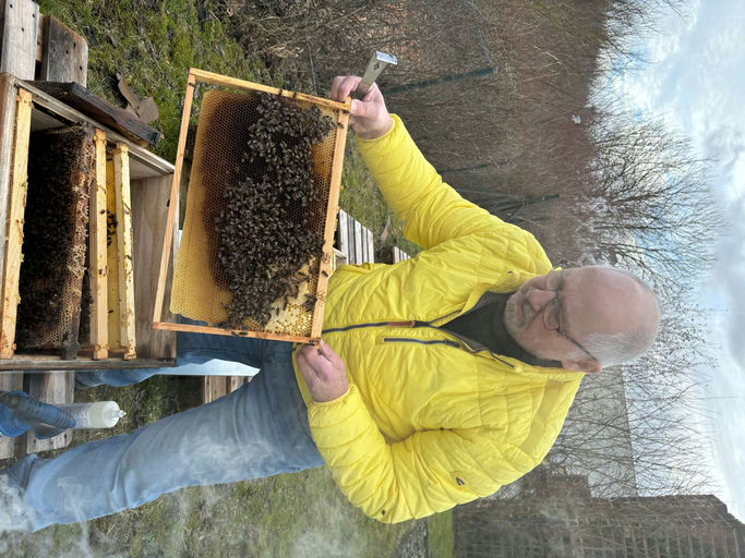 Winter-/Bienenverluste Bild 2