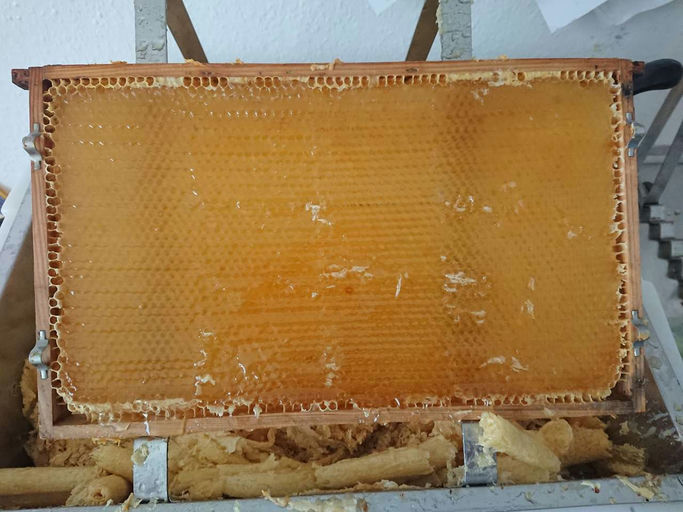 Die Honigernte steht an Bild 1