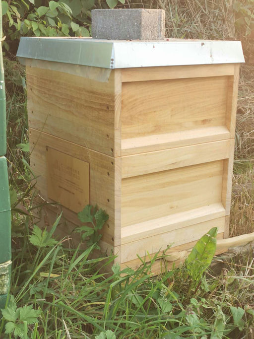 Endspurt im August Bild 3