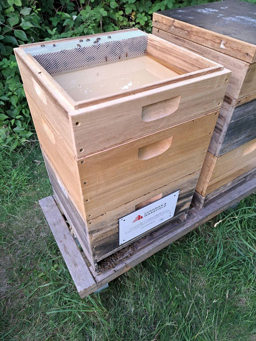 Winterfütterung Bild 3