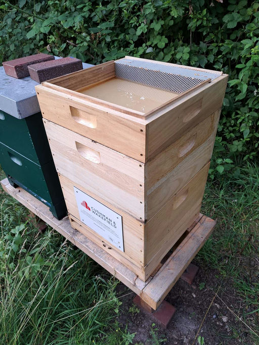 Winterfütterung Bild 4