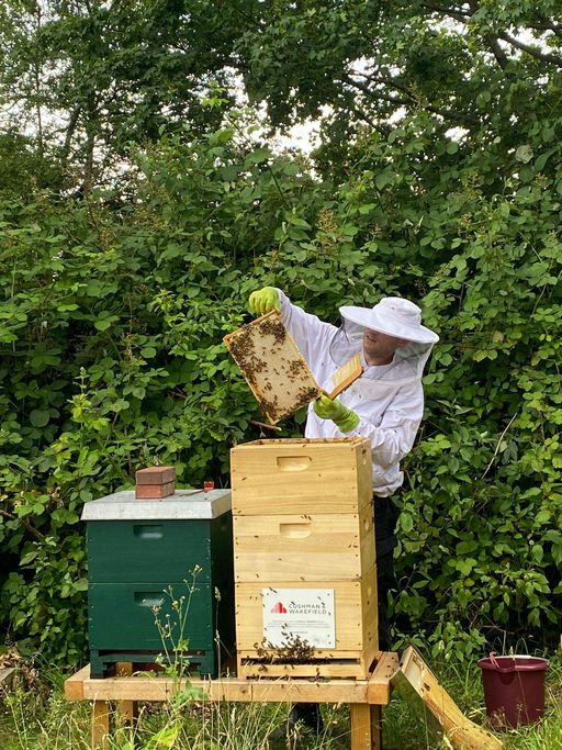 Meine erste große Honigernte – ein Julitag voller Gold Bild 1