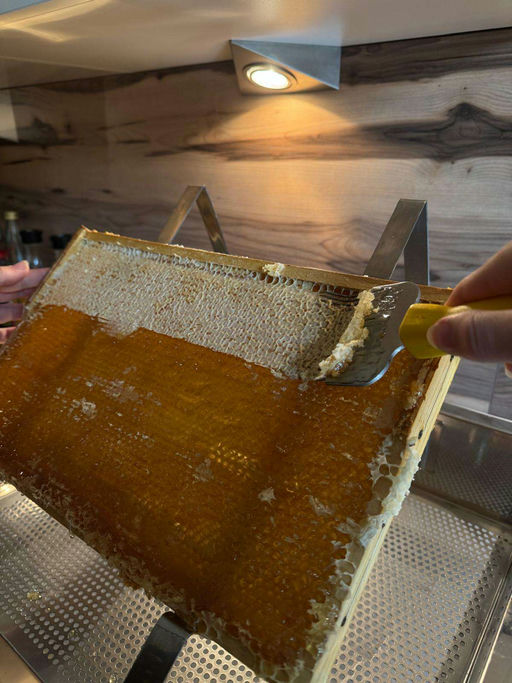 Meine erste große Honigernte – ein Julitag voller Gold Bild 3