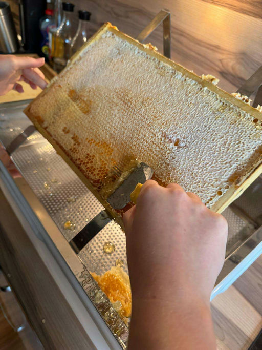 Meine erste große Honigernte – ein Julitag voller Gold Bild 4