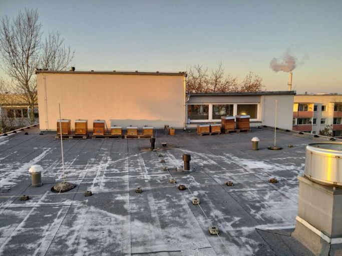 Kalter Januar Bild 1