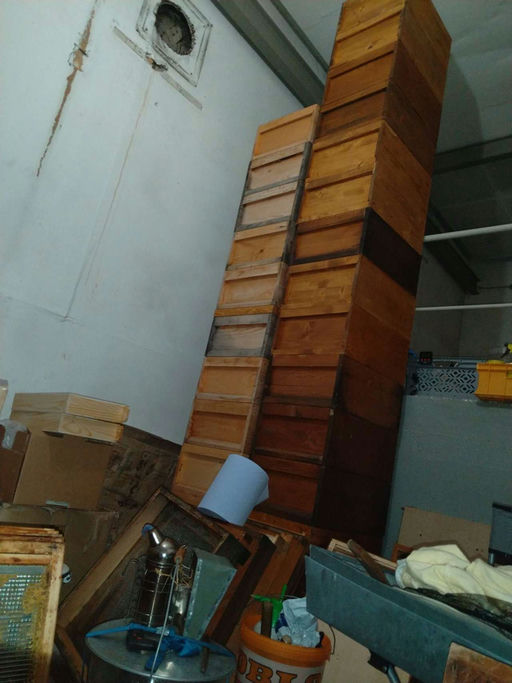 Kalter Januar Bild 2