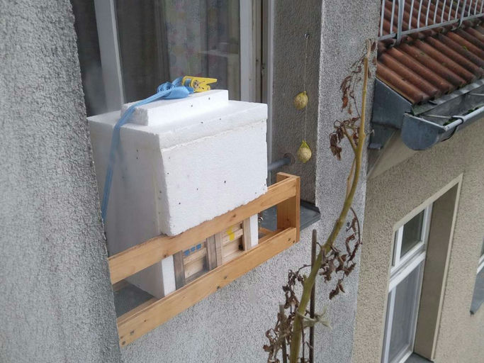 Kalter Januar Bild 4