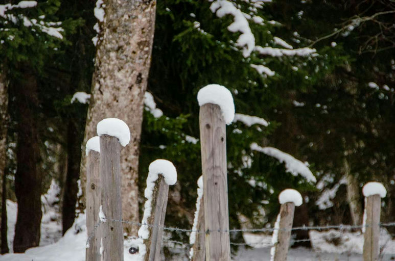 Kalter Januar Bild 5