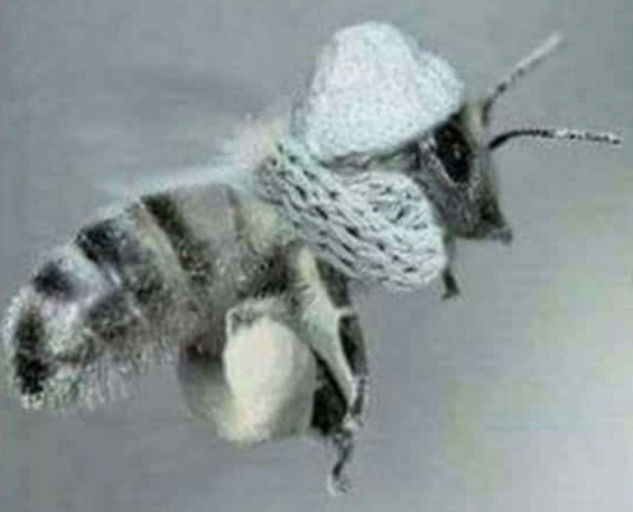 Kalter Januar Bild 6