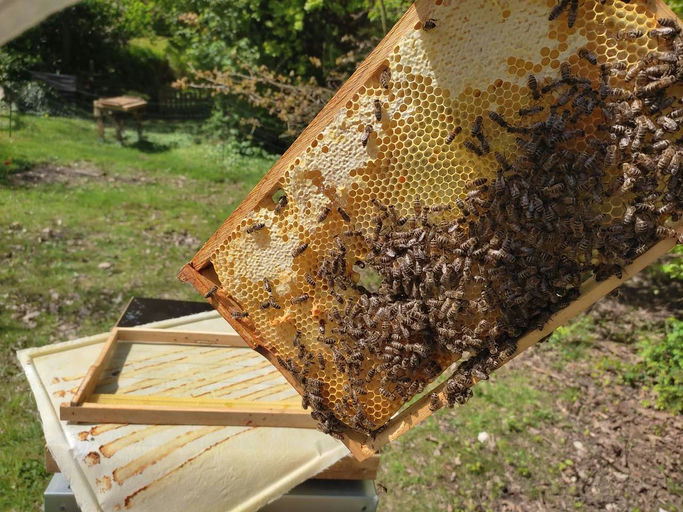 Erste Spielnäpfe Bild 1