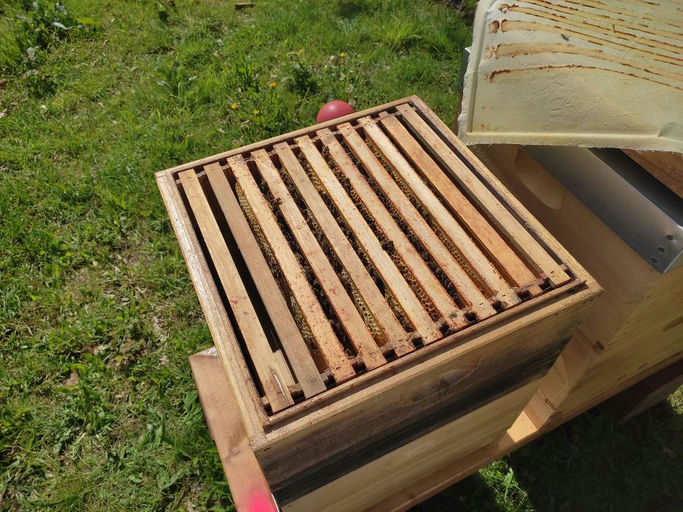 Erste Spielnäpfe Bild 2