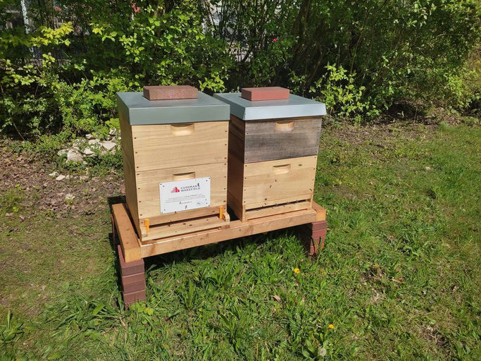 Erste Spielnäpfe Bild 3