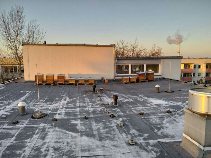 Winterruhe im Januar