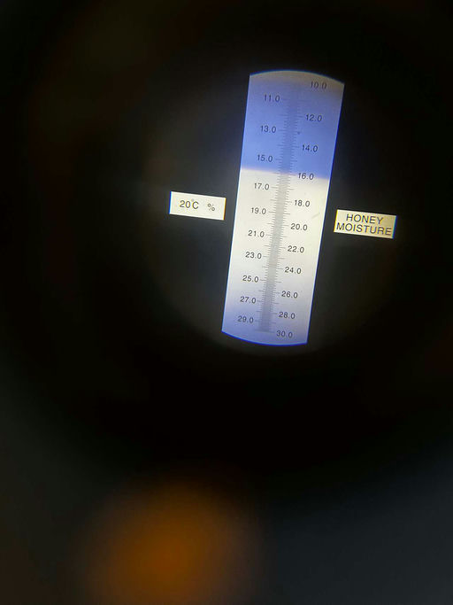 Lindenhonig ernten Bild 1