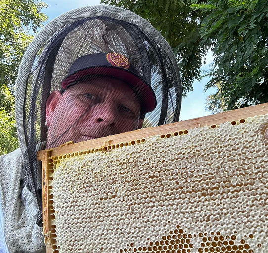 Lindenhonig ernten Bild 3