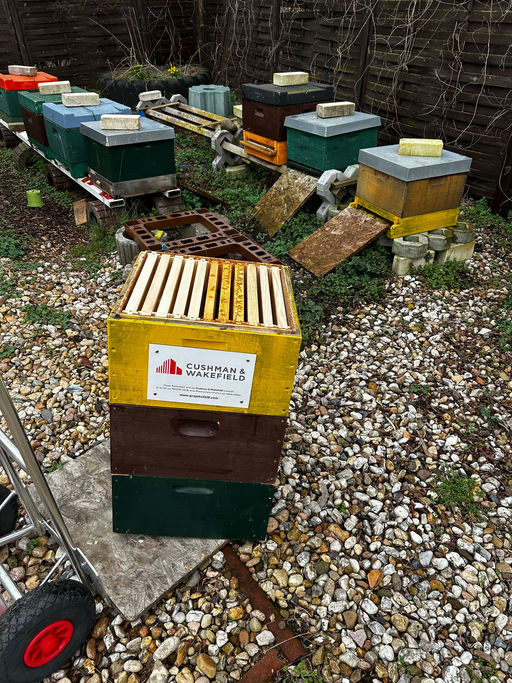 Es geht endlich los Bild 2