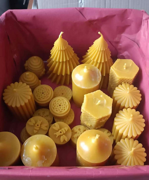 Wachsgewinnung Bild 2