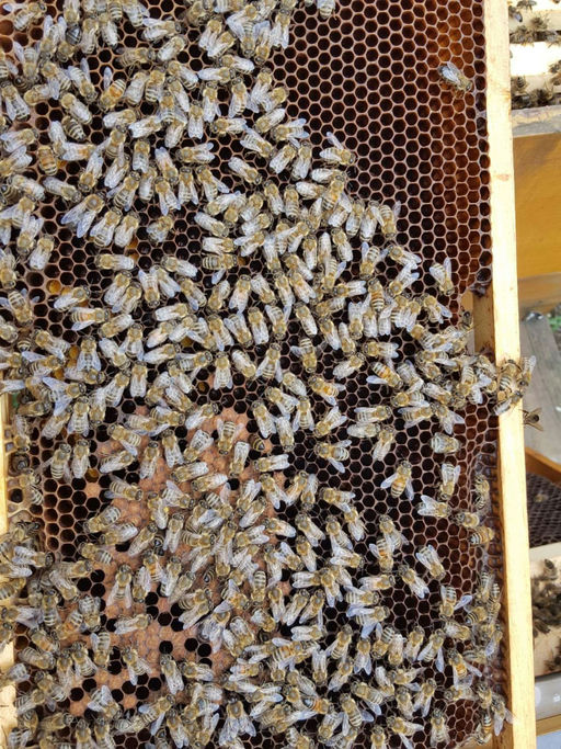 Nun geht es endlich richtig los, oder auch nicht....