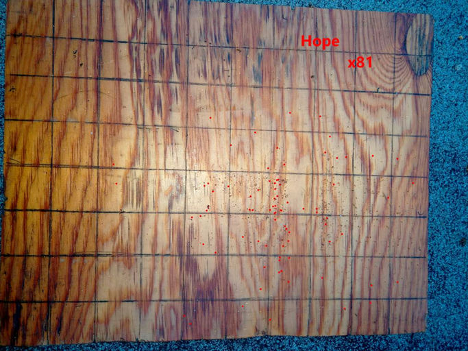 Jetzt ist es richtig ruhig am Bienenstand Bild 1