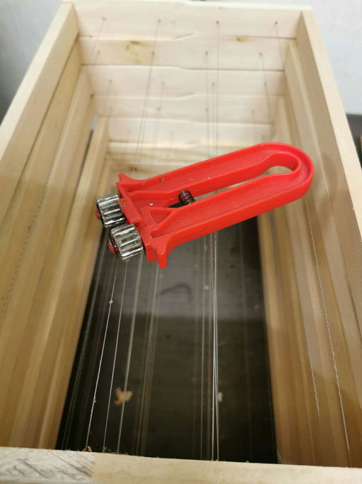 Erste Pollen werden eingetragen.